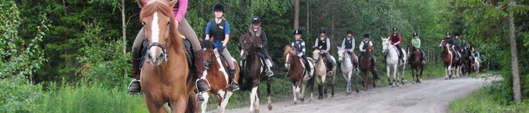 Seikkailuleiri 2008 © Miia Lkkl